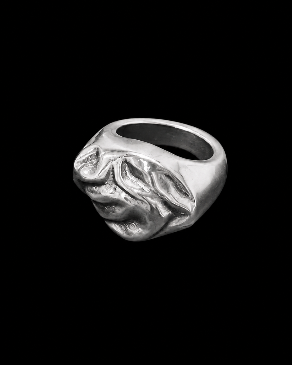 ANILLO PEREGRINA