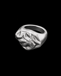 ANILLO PEREGRINA