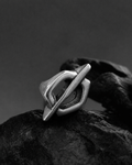 ANILLO ORIGEN
